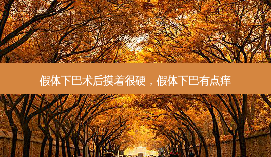 假体下巴术后摸着很硬,假体下巴有点痒-第1张图片-容颜讯 假体下巴术后摸着很硬,假体下巴有点痒-第1张图片-容颜讯