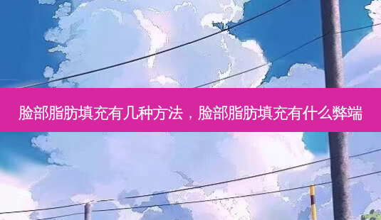 脸部脂肪填充有几种 *** ,脸部脂肪填充有什么弊端-第1张图片-容颜讯 脸部脂肪填充有几种 *** ,脸部脂肪填充有什么弊端-第1张图片-容颜讯