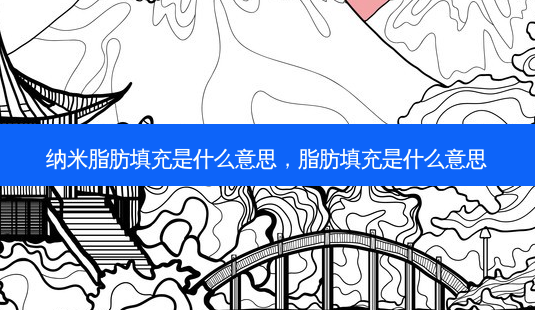 纳米脂肪填充是什么意思,脂肪填充是什么意思-第1张图片-容颜讯 纳米脂肪填充是什么意思,脂肪填充是什么意思-第1张图片-容颜讯