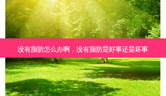 没有脂肪怎么办啊,没有脂肪是好事还是坏事-第1张图片-容颜讯 没有脂肪怎么办啊,没有脂肪是好事还是坏事-第1张图片-容颜讯