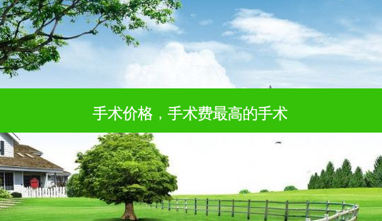 手术价格,手术费 *** 高的手术-第1张图片-容颜讯 手术价格,手术费 *** 高的手术-第1张图片-容颜讯