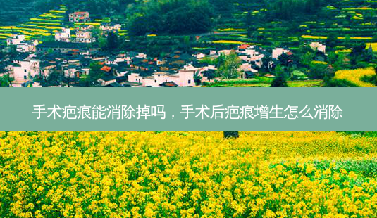 手术疤痕能消除掉吗,手术后疤痕增生怎么消除-第1张图片-容颜讯 手术疤痕能消除掉吗,手术后疤痕增生怎么消除-第1张图片-容颜讯