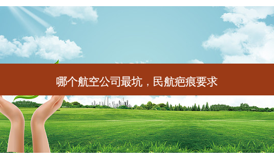哪个航空公司 *** 坑,民航疤痕要求-第1张图片-容颜讯 哪个航空公司 *** 坑,民航疤痕要求-第1张图片-容颜讯
