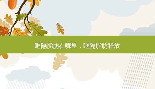 眶隔脂肪在哪里,眶隔脂肪释放-第1张图片-容颜讯 眶隔脂肪在哪里,眶隔脂肪释放-第1张图片-容颜讯