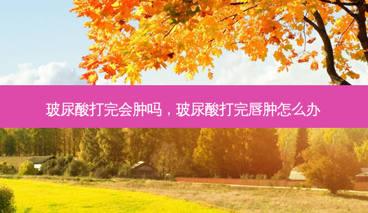 玻尿酸打完会肿吗,玻尿酸打完唇肿怎么办-第1张图片-容颜讯 玻尿酸打完会肿吗,玻尿酸打完唇肿怎么办-第1张图片-容颜讯