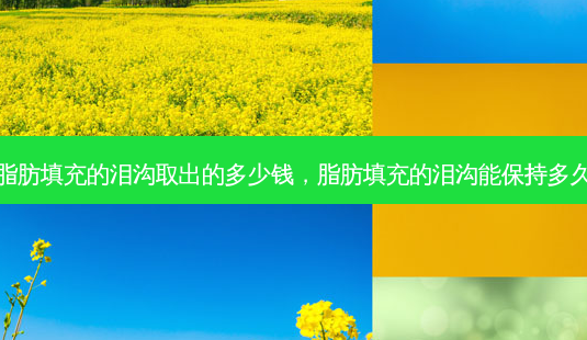 脂肪填充的泪沟取出的多少钱,脂肪填充的泪沟能保持多久-第1张图片-容颜讯 脂肪填充的泪沟取出的多少钱,脂肪填充的泪沟能保持多久-第1张图片-容颜讯