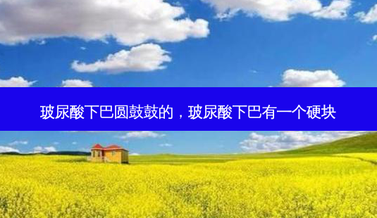 玻尿酸下巴圆鼓鼓的,玻尿酸下巴有一个硬块-第1张图片-容颜讯 玻尿酸下巴圆鼓鼓的,玻尿酸下巴有一个硬块-第1张图片-容颜讯