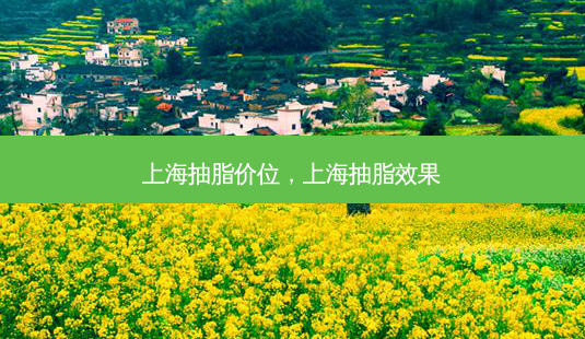 上海抽脂价位,上海抽脂效果-第1张图片-容颜讯 上海抽脂价位,上海抽脂效果-第1张图片-容颜讯