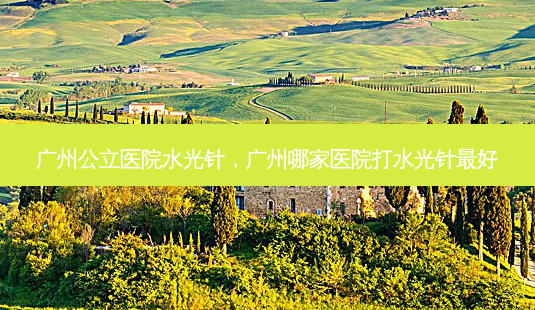 广州公立医院水光针,广州哪家医院打水光针 *** 好-第1张图片-容颜讯 广州公立医院水光针,广州哪家医院打水光针 *** 好-第1张图片-容颜讯