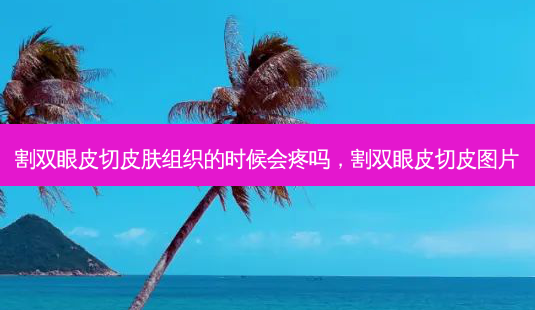 割双眼皮切皮肤组织的时候会疼吗,割双眼皮切皮图片-第1张图片-容颜讯 割双眼皮切皮肤组织的时候会疼吗,割双眼皮切皮图片-第1张图片-容颜讯