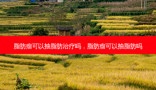 脂肪瘤可以抽脂肪治疗吗,脂肪瘤可以抽脂肪吗-第1张图片-容颜讯 脂肪瘤可以抽脂肪治疗吗,脂肪瘤可以抽脂肪吗-第1张图片-容颜讯