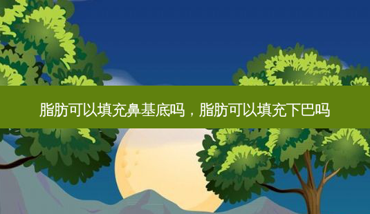 脂肪可以填充鼻基底吗,脂肪可以填充下巴吗-第1张图片-容颜讯 脂肪可以填充鼻基底吗,脂肪可以填充下巴吗-第1张图片-容颜讯