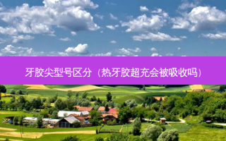 牙胶尖型号区分（热牙胶超充会被吸收吗）