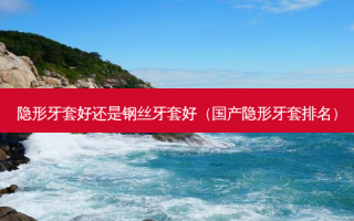 隐形牙套好还是钢丝牙套好（国产隐形牙套排名）