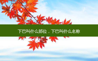 下巴叫什么部位，下巴叫什么名称