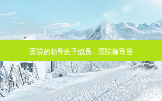 医院的领导班子成员，医院领导层