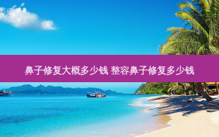 鼻子修复大概多少钱 整容鼻子修复多少钱