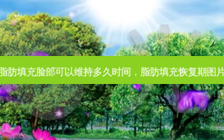 脂肪填充脸部可以维持多久时间，脂肪填充恢复期图片