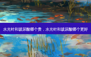 水光针和玻尿酸哪个贵，水光针和玻尿酸哪个更好
