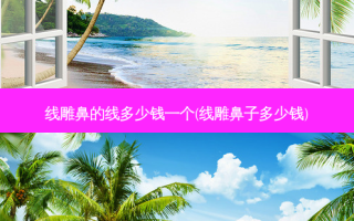 线雕鼻的线多少钱一个(线雕鼻子多少钱)