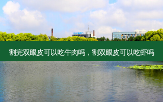 割完双眼皮可以吃牛肉吗，割双眼皮可以吃虾吗