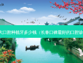 吉大口腔种植牙多少钱（长春口碑好的口腔诊所）