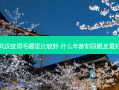 武汉纹眉毛哪里比较好 什么年龄割双眼皮好