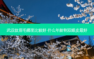 武汉纹眉毛哪里比较好 什么年龄割双眼皮好