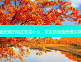遮盖疤痕的假皮肤是什么，假皮肤遮盖疤痕实体店