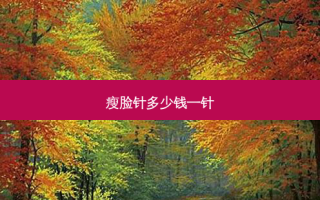 瘦脸针多少钱一针