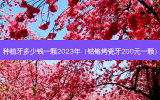 种植牙多少钱一颗2023年（钴铬烤瓷牙200元一颗）