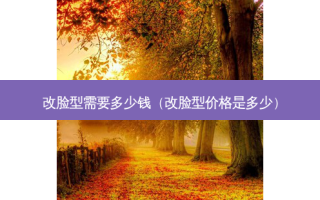 改脸型需要多少钱（改脸型价格是多少）