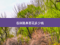假体隆鼻要花多少钱