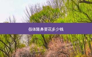 假体隆鼻要花多少钱
