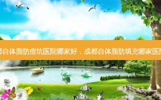 成都自体脂肪痘坑医院哪家好，成都自体脂肪填充哪家医院好