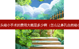 鼻头缩小手术的费用大概是多少啊（怎么让鼻孔自然缩小）