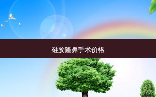 硅胶隆鼻手术价格