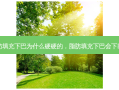 脂肪填充下巴为什么硬硬的，脂肪填充下巴会下垂吗