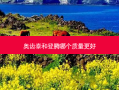 奥齿泰和登腾哪个质量更好