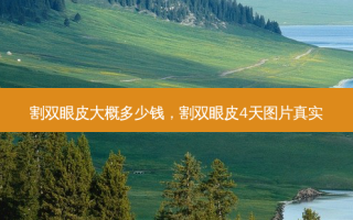 割双眼皮大概多少钱，割双眼皮4天图片真实