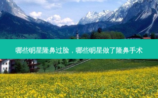 哪些明星隆鼻过脸，哪些明星做了隆鼻手术