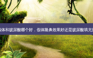 隆鼻假体和玻尿酸哪个好，假体隆鼻效果好还是玻尿酸填充效果好