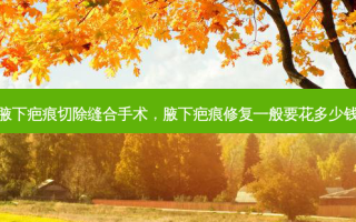 腋下疤痕切除缝合手术，腋下疤痕修复一般要花多少钱