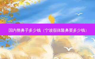 国内整鼻子多少钱（宁波假体隆鼻要多少钱）