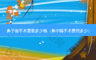 鼻子做手术需要多少钱（鼻中隔手术费用多少）