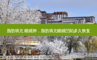 脂肪填充 眼睛肿，脂肪填充眼睛凹陷多久恢复