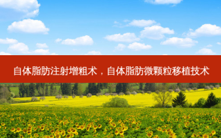 自体脂肪注射增粗术，自体脂肪微颗粒移植技术
