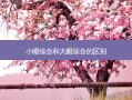 小眼综合和大眼综合的区别