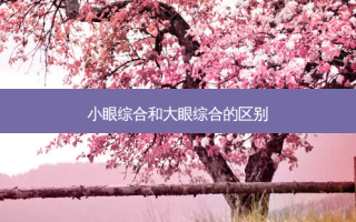小眼综合和大眼综合的区别