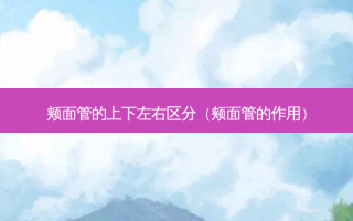 颊面管的上下左右区分（颊面管的作用）